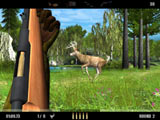 Deer Drive screens
