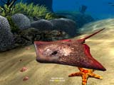 OceanDive - Ocean Diving Adventure screens